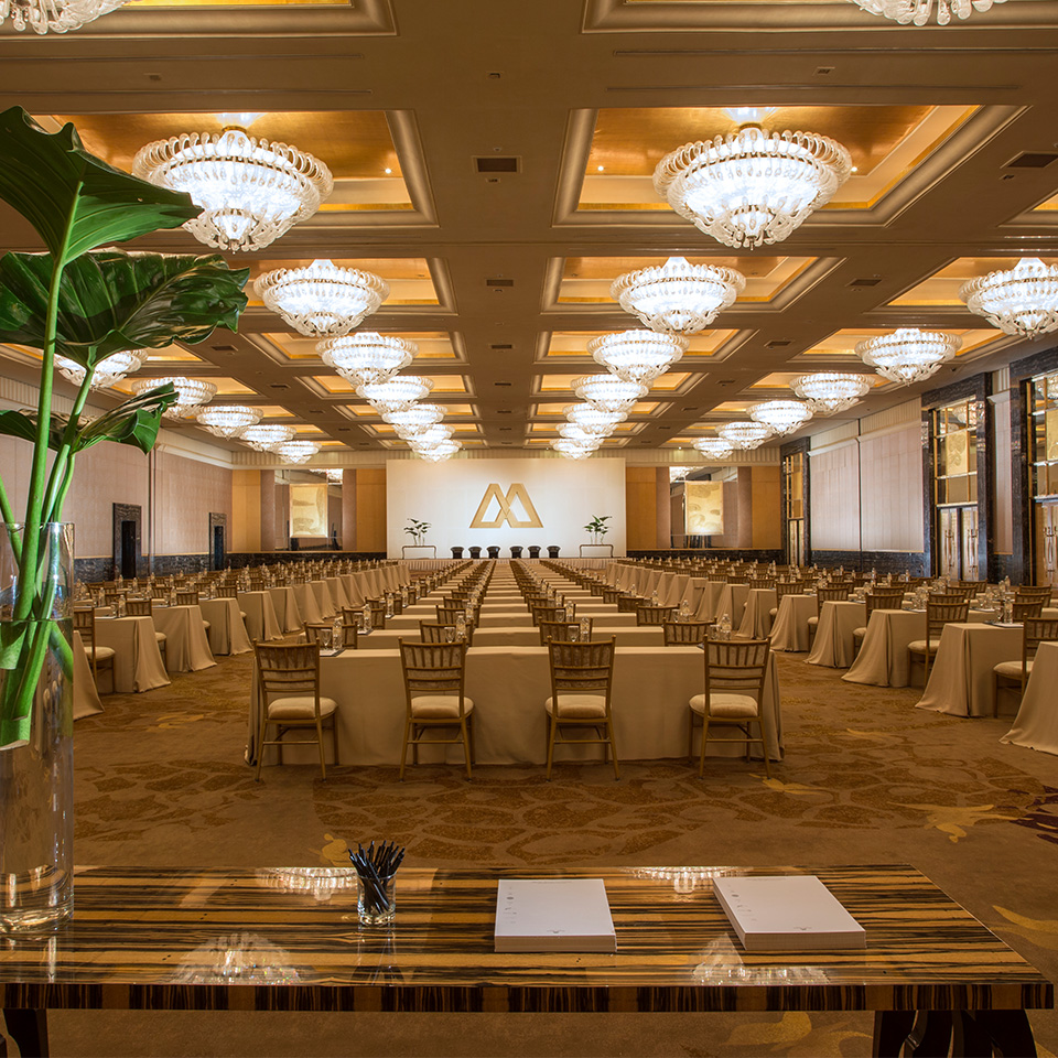 meeting-section-homepage